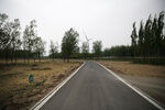 路