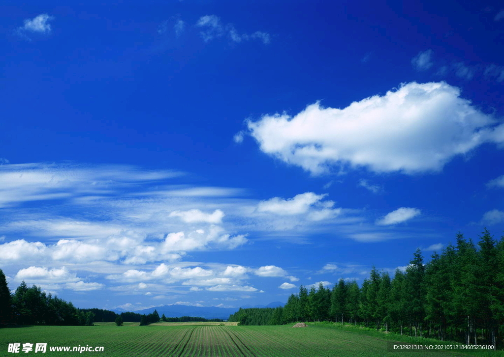 蔚蓝田野森林少云背景