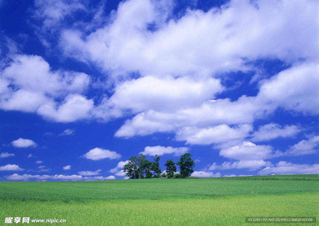 蔚蓝多云绿色田野背景