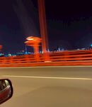 鹦鹉洲长江大桥-夜景
