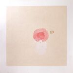 国画 没骨山茶花绘画步骤分享