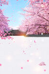 樱花背景