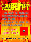 烟花爆竹专营