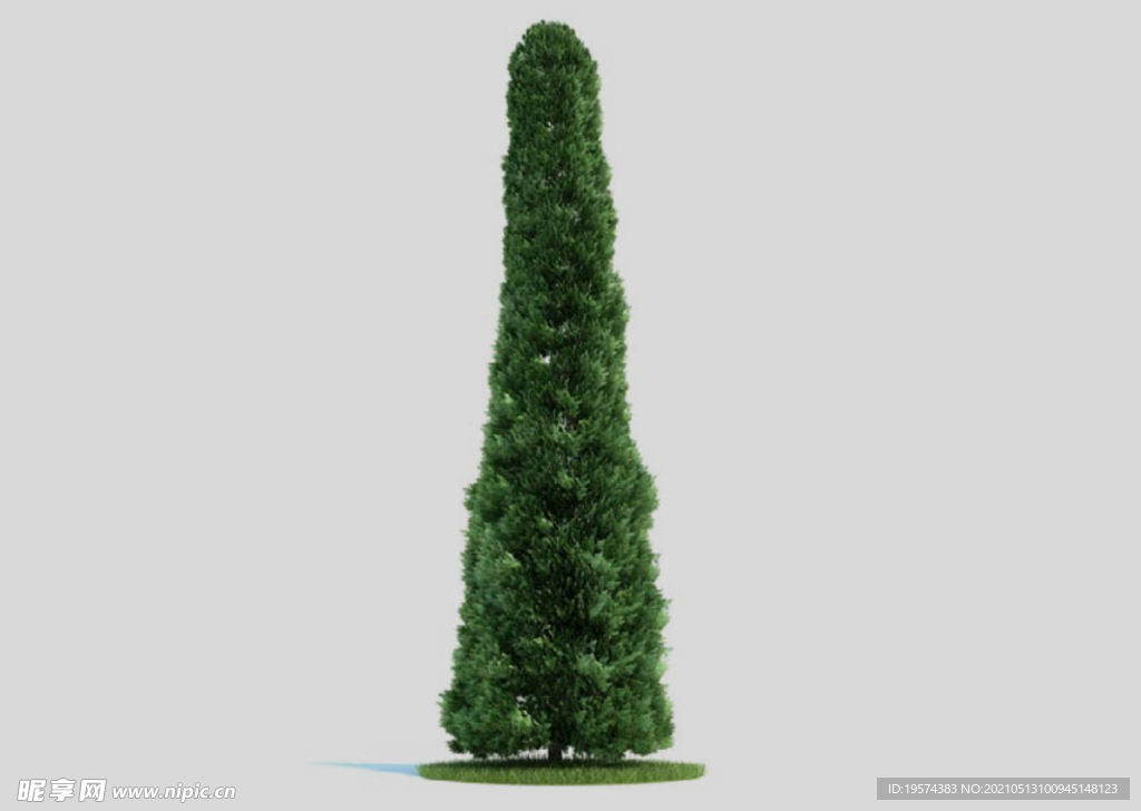 c4d模型道路景观树绿色植物