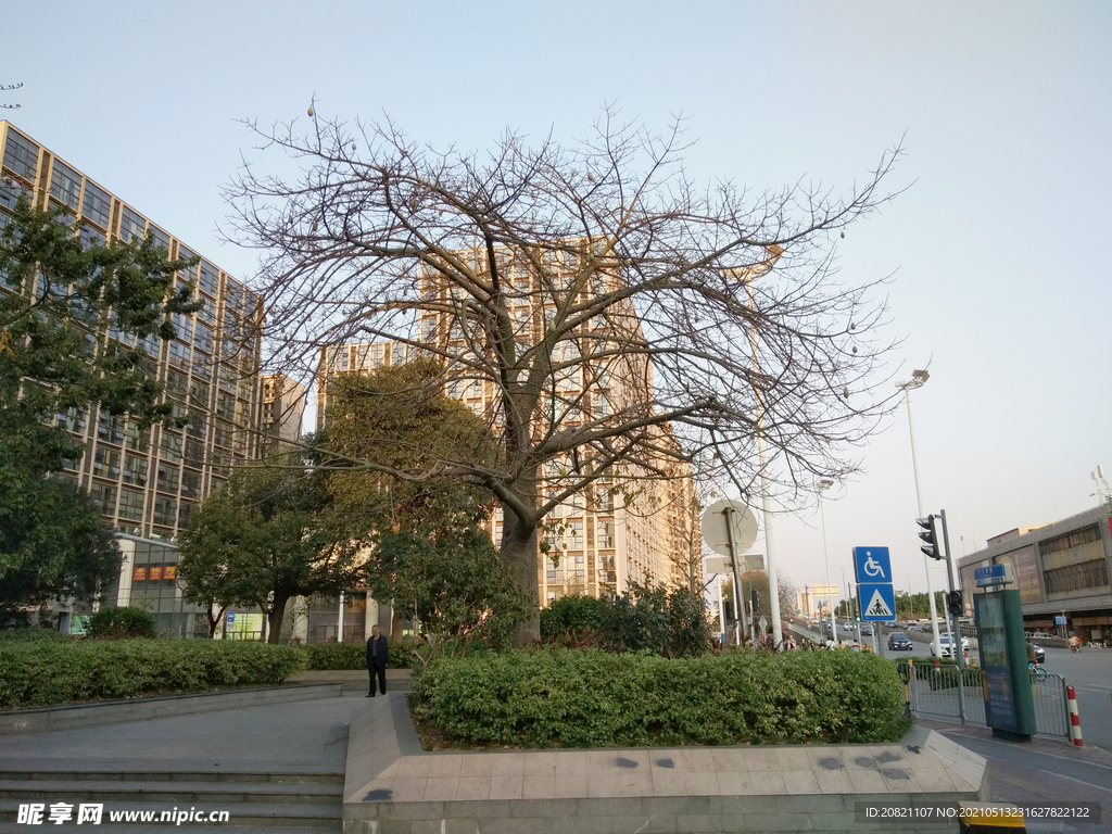 景观园林 
