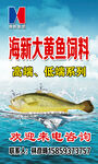 海新大黄鱼饲料海报