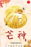 芒种