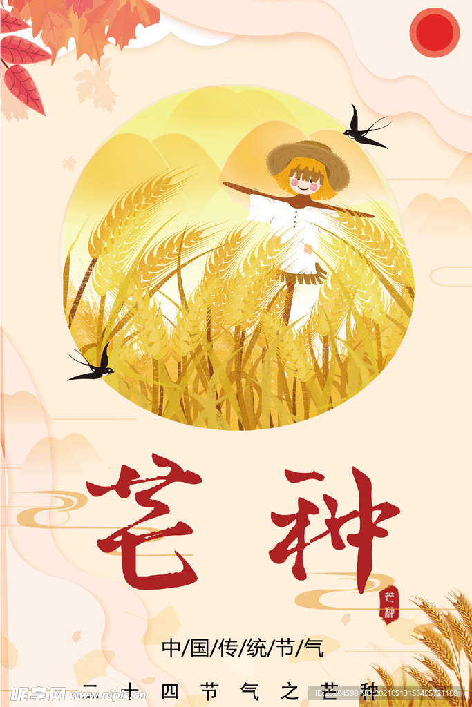 芒种