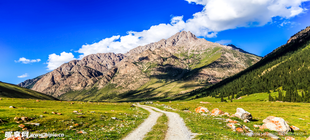 草原高山风景图 小路 乡间小路