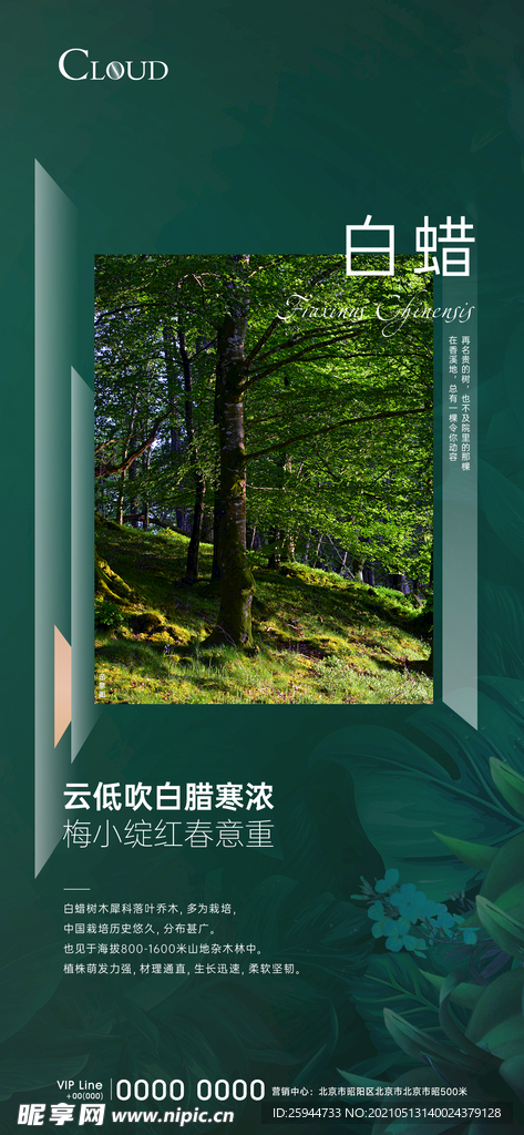 植物科普刷屏