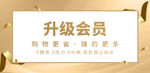 会员升级banner