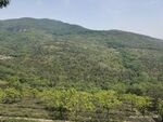 连云港花果山