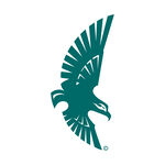 IT公司logo