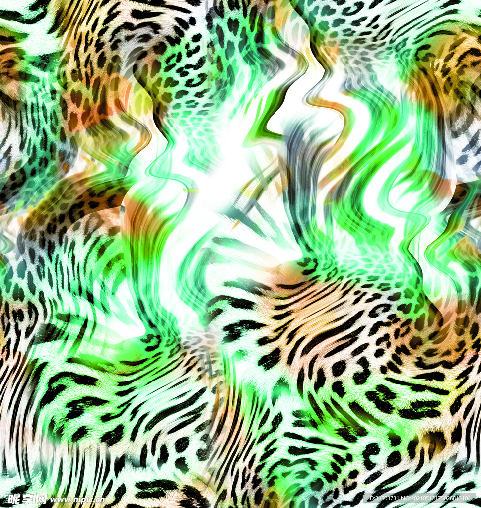 豹纹