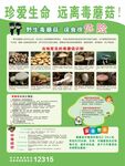 远离蘑菇