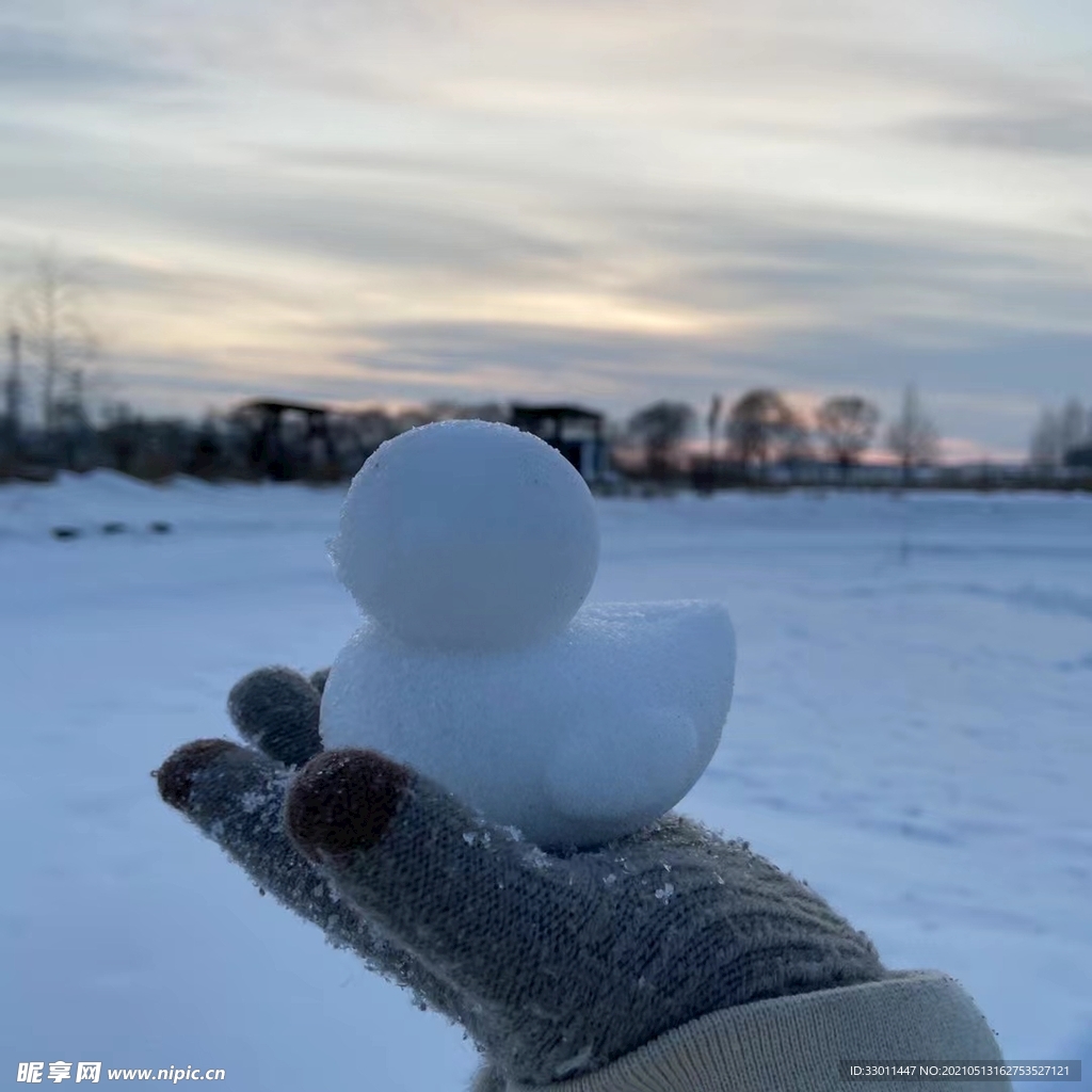 雪鸭子