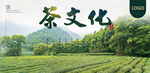 茶文化海报