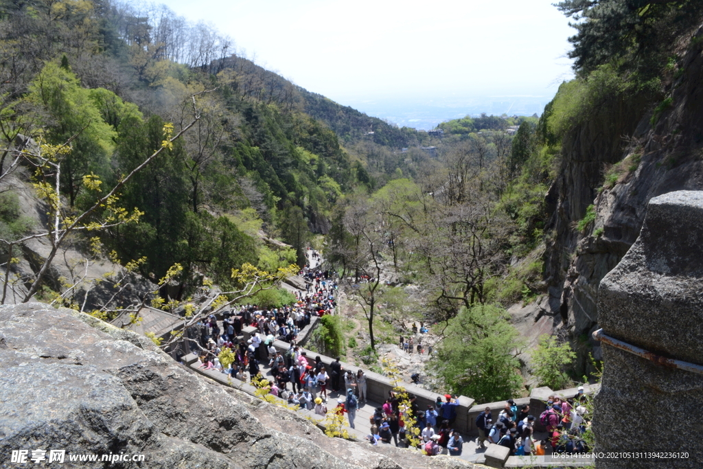 泰山人多