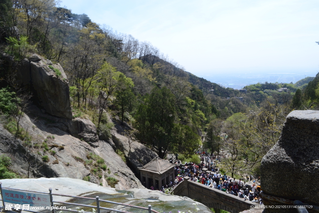 泰山