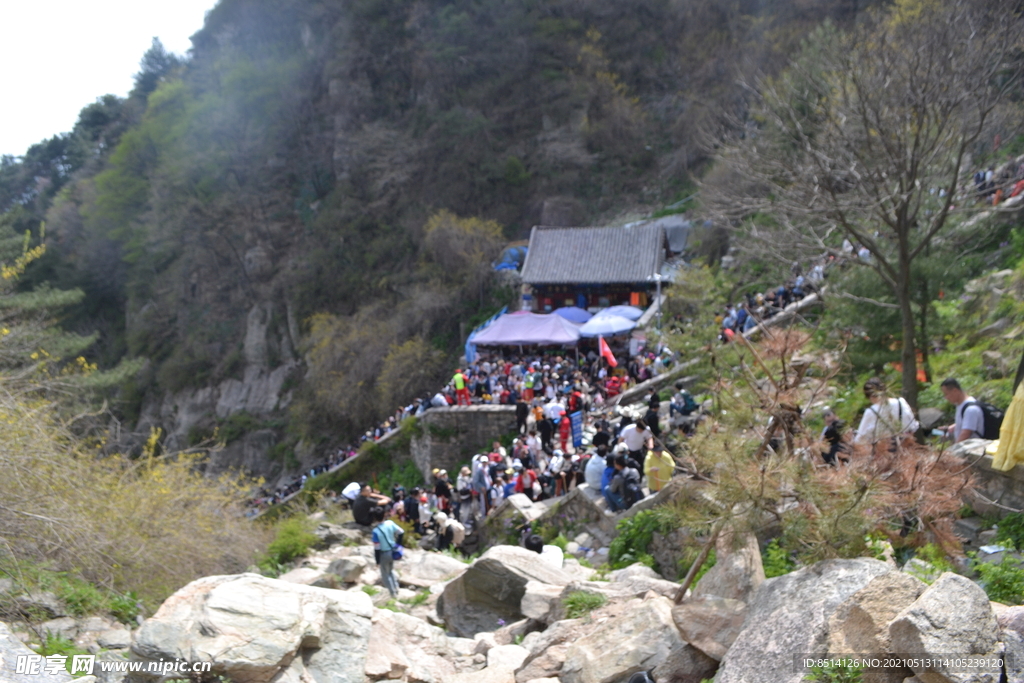 泰山景区