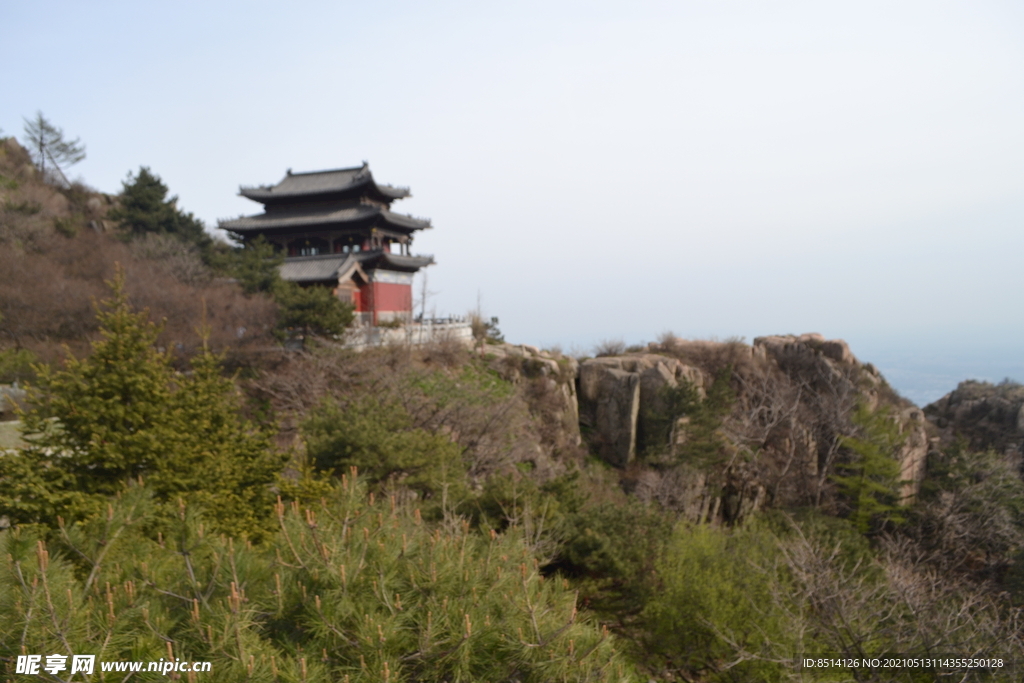 山东泰山