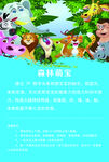 深林萌宝
