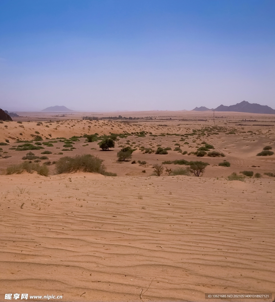 沙漠             