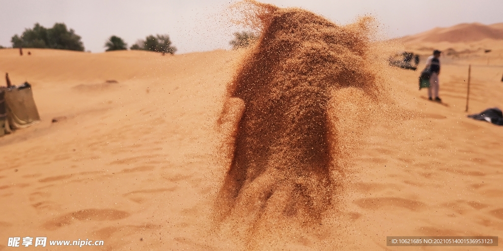 沙漠             