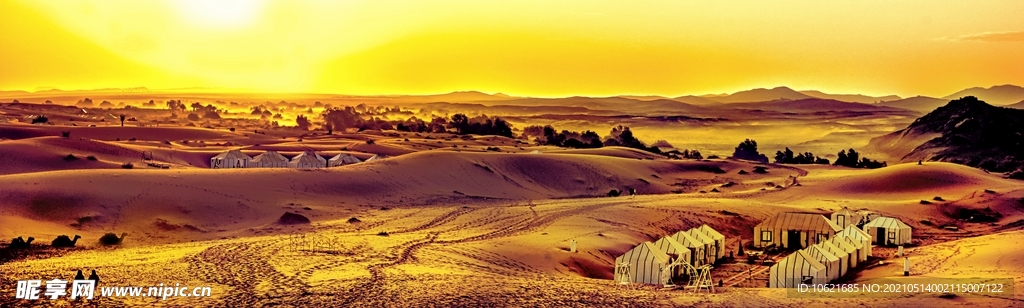 沙漠             