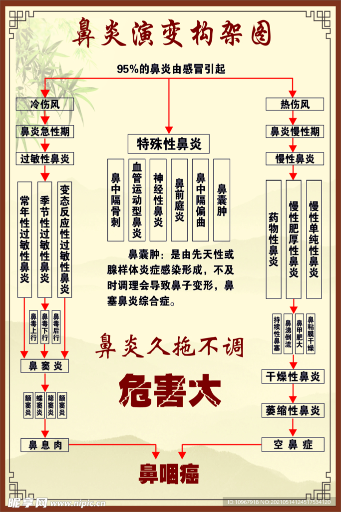 鼻炎演变