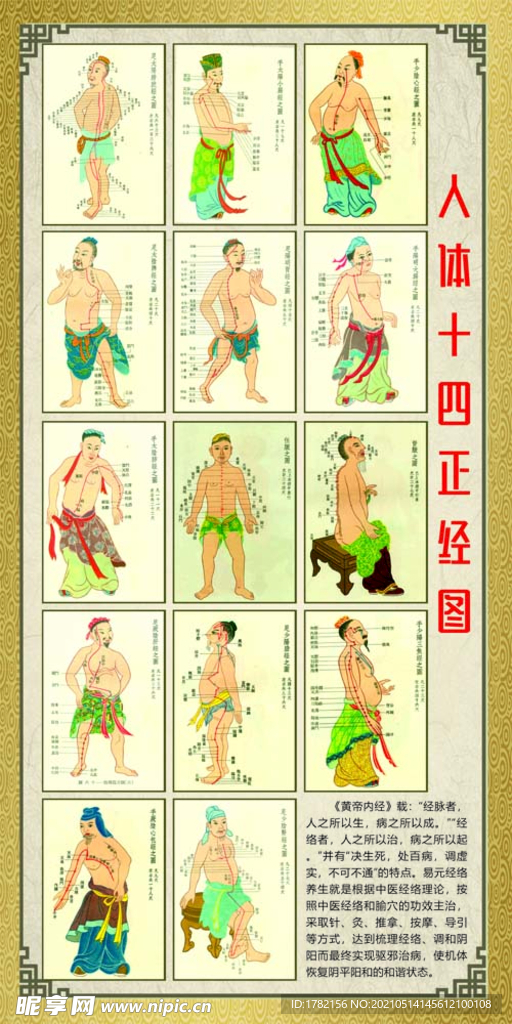 经络图