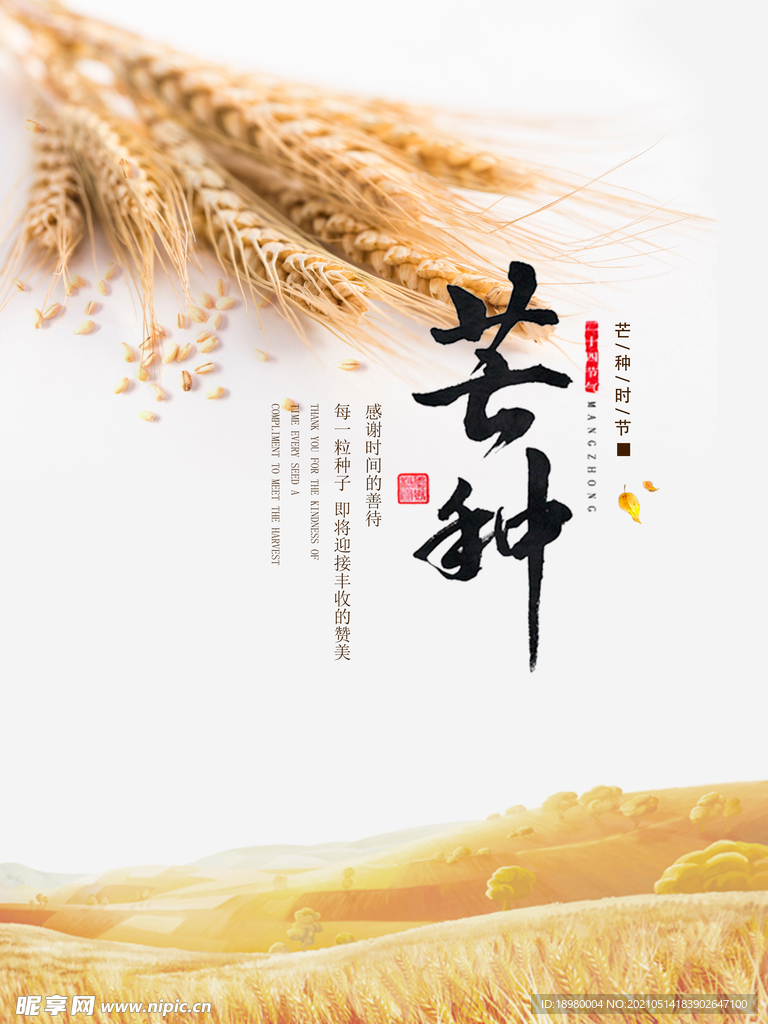 芒种节气海报