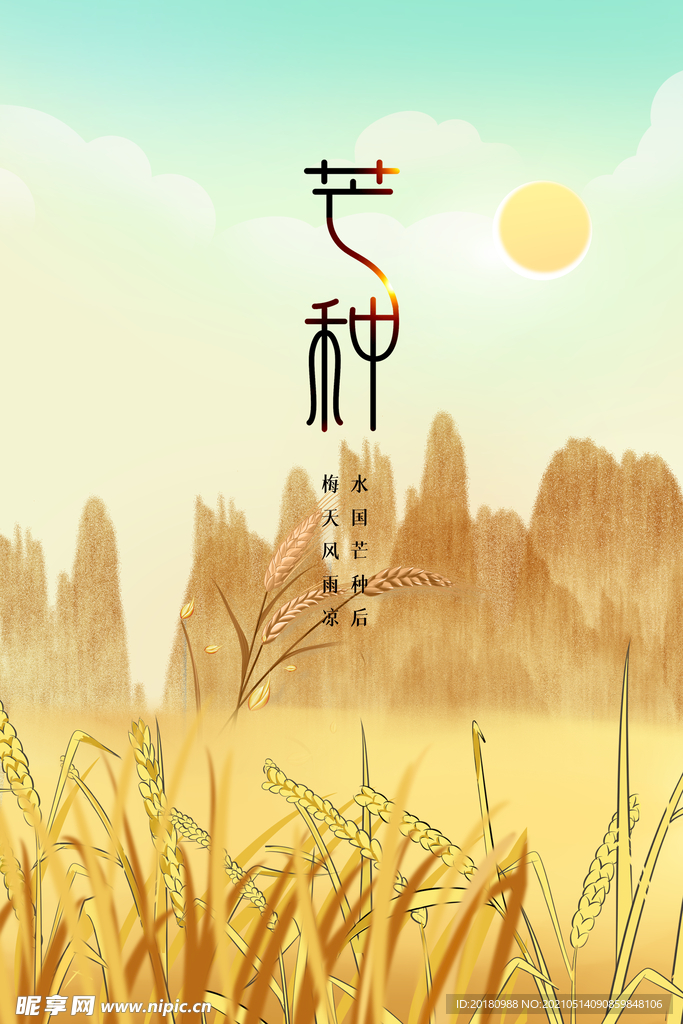 芒种