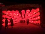 灯笼灯展