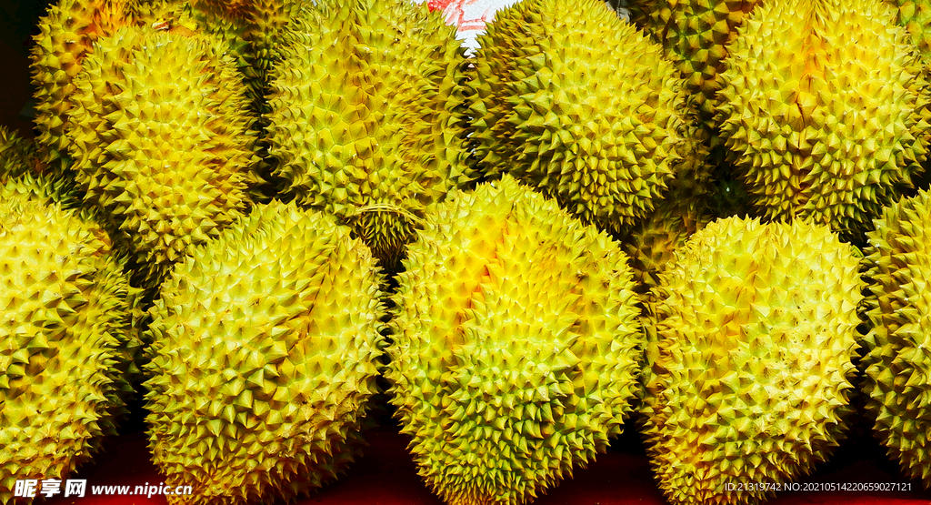 榴莲水果照片