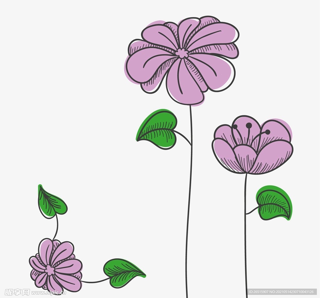 粉红色花朵绘图