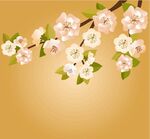 春季花卉模板