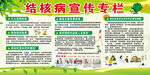 结核病宣传