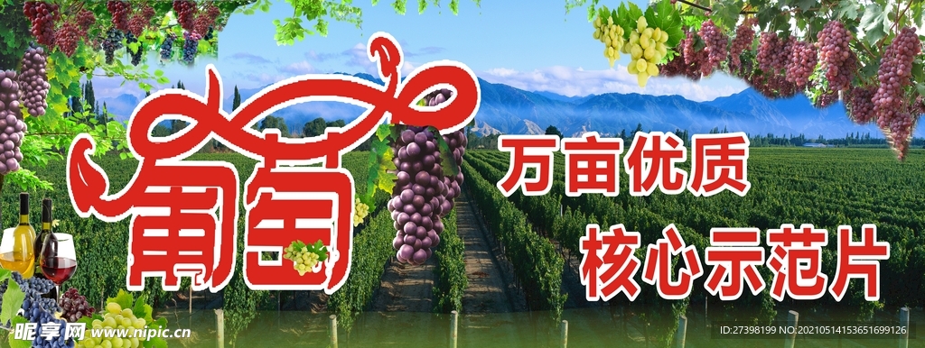 葡萄种植园宣传展示海报