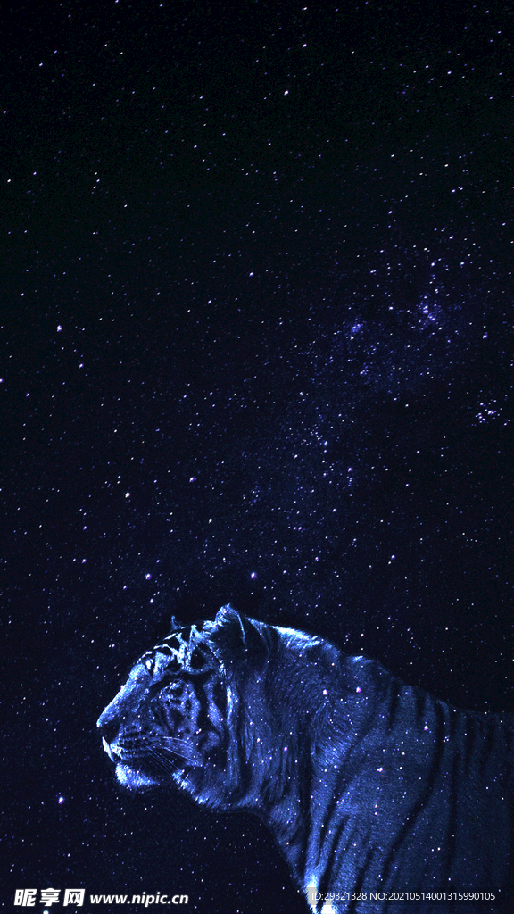 星空下的白虎