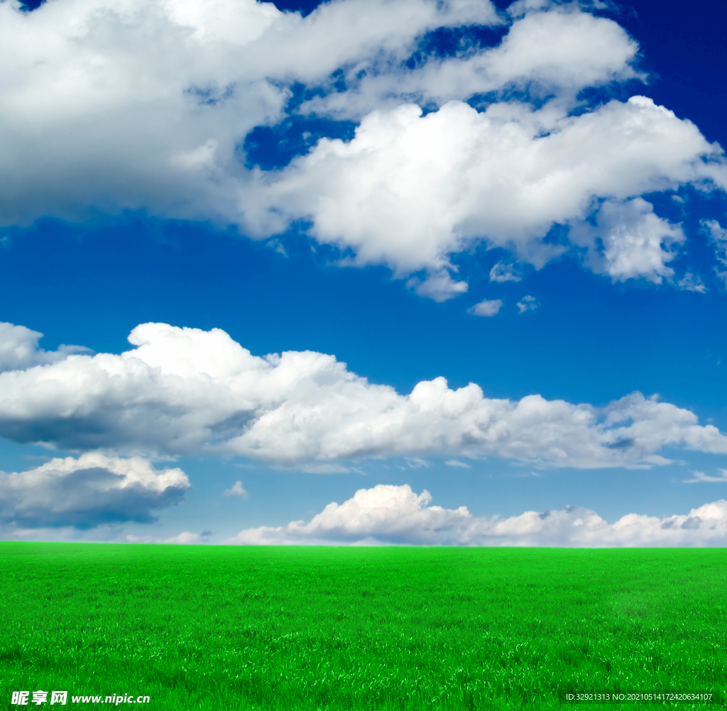 绿色草地晴朗天空高清