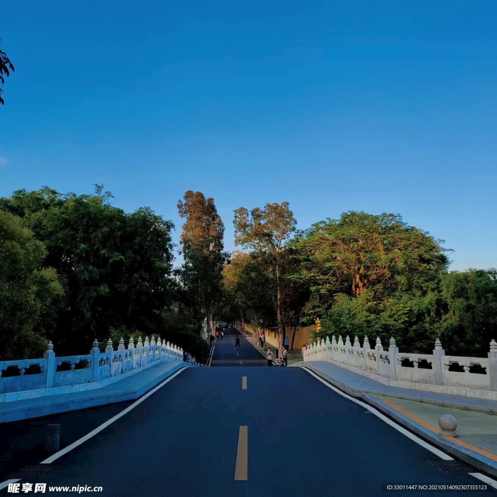 道路