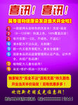 吴尊染发