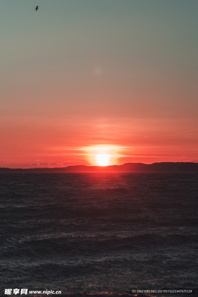 太阳             