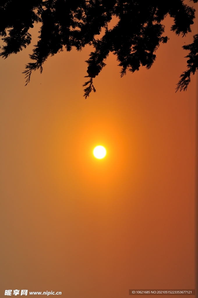太阳             
