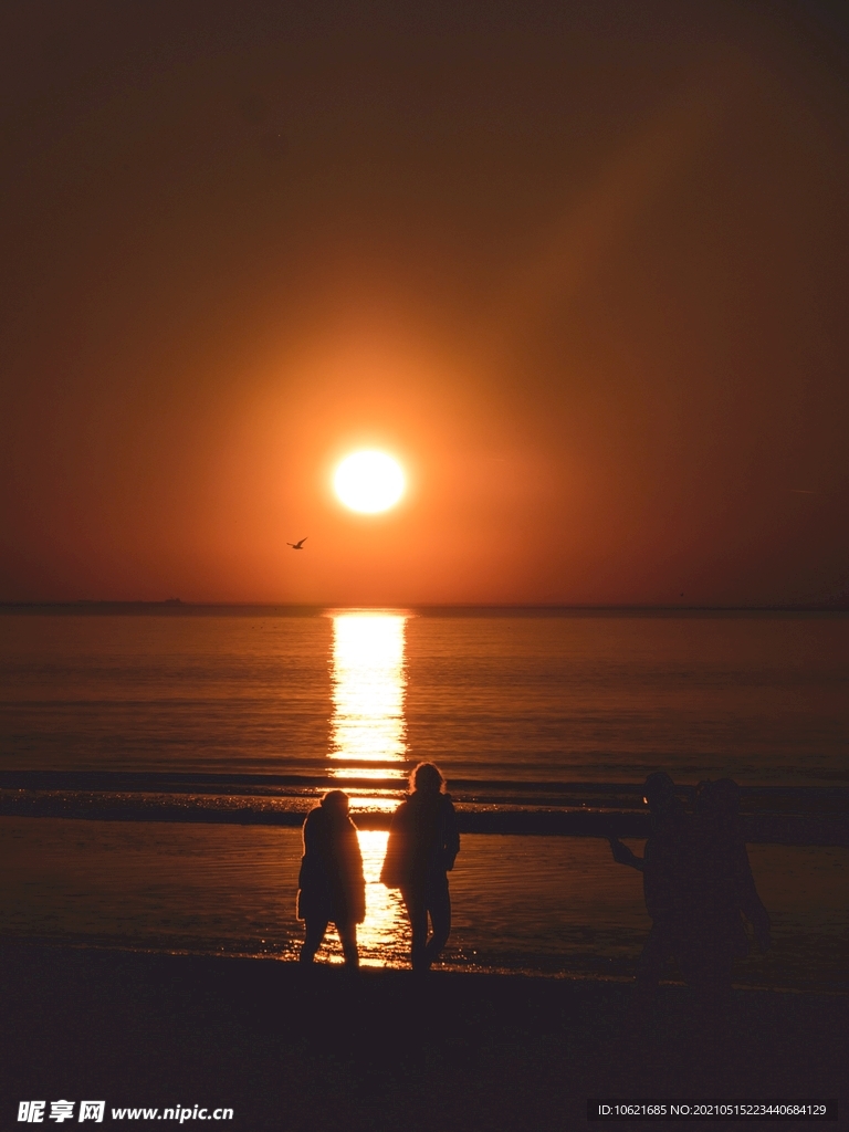 太阳             