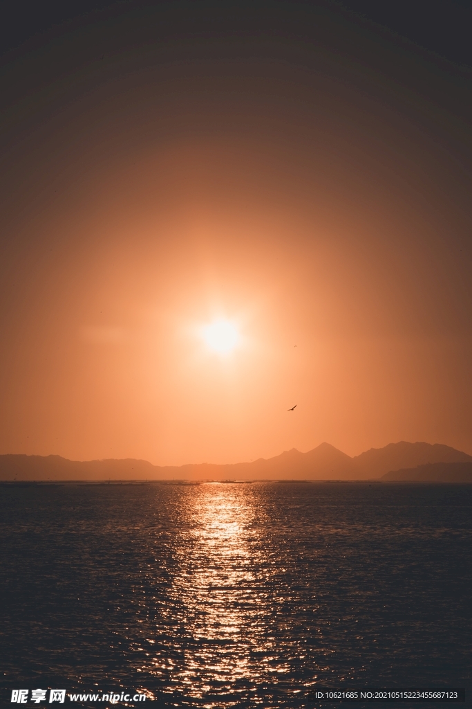 太阳             