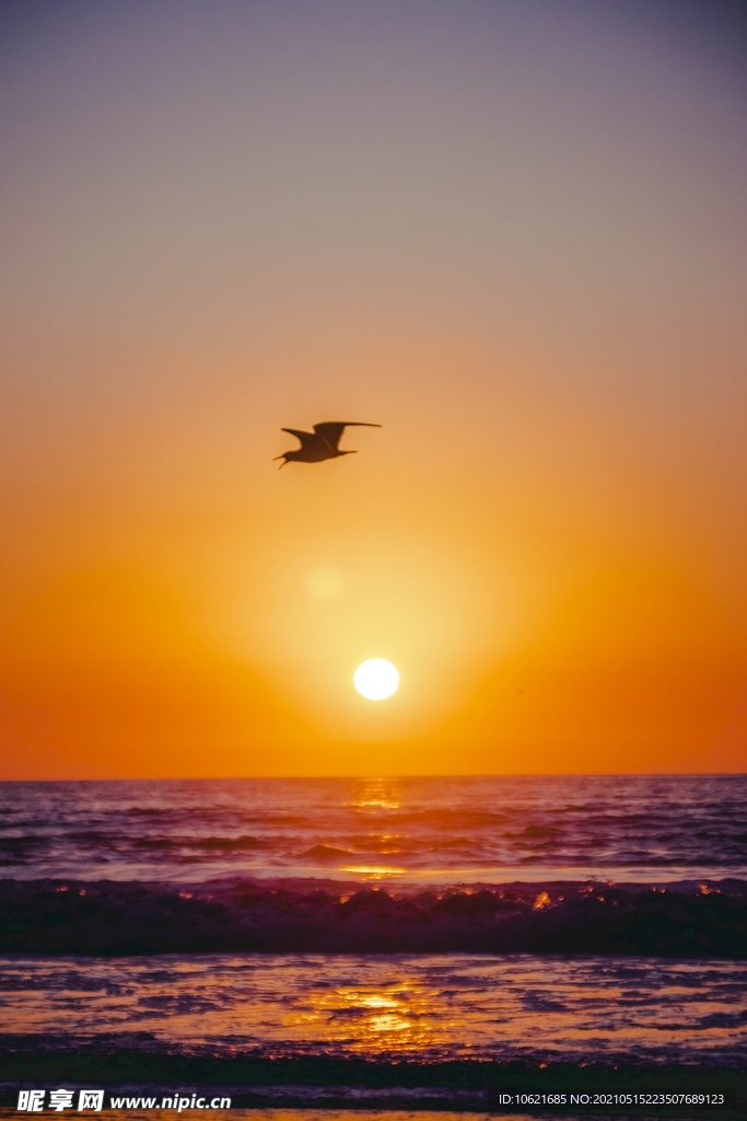 太阳             