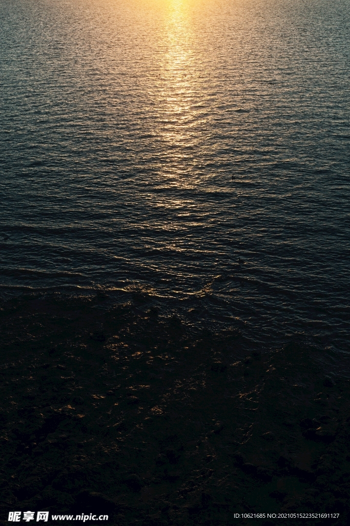 太阳             