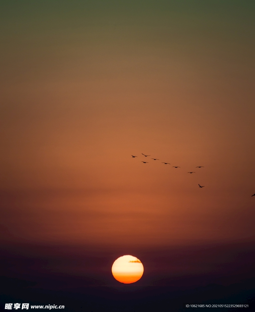 太阳             